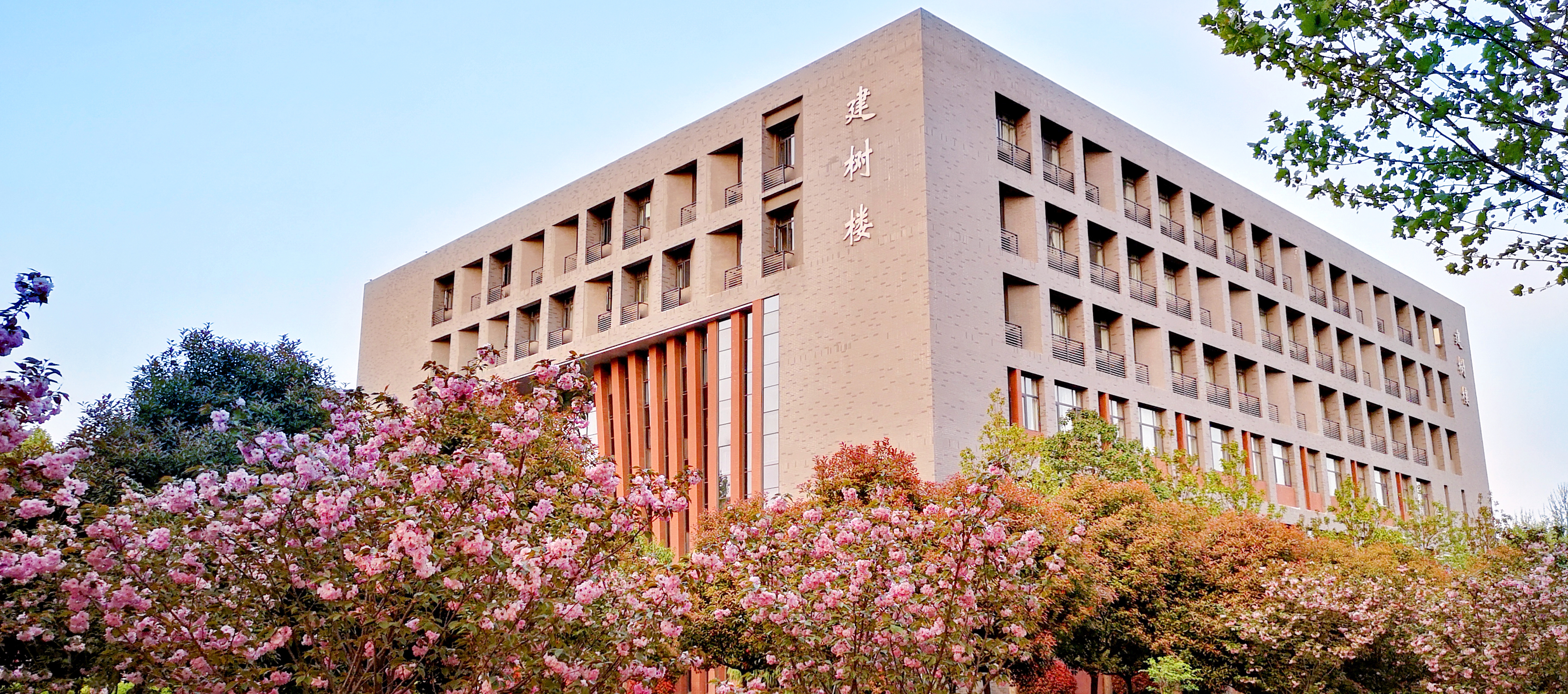 伟德bv1946官网